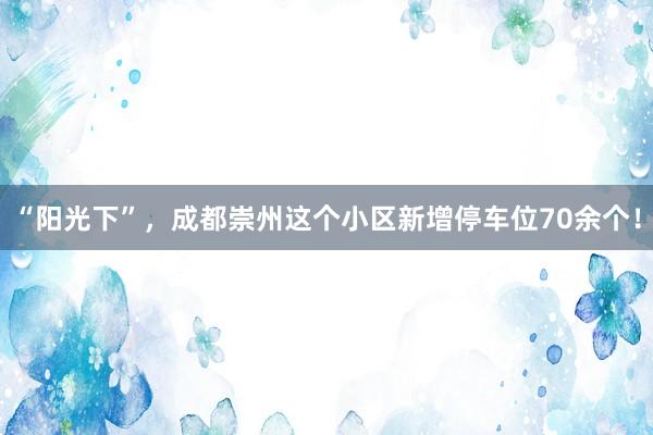 “阳光下”，成都崇州这个小区新增停车位70余个！