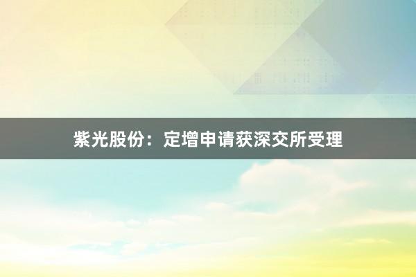 紫光股份：定增申请获深交所受理