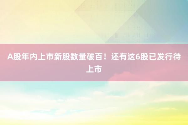 A股年内上市新股数量破百！还有这6股已发行待上市