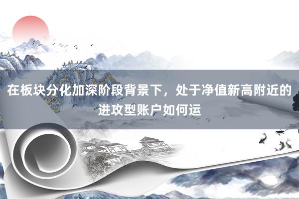 在板块分化加深阶段背景下，处于净值新高附近的进攻型账户如何运