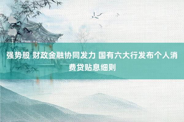 强势股 财政金融协同发力 国有六大行发布个人消费贷贴息细则