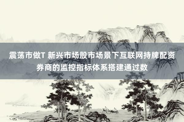 震荡市做T 新兴市场股市场景下互联网持牌配资券商的监控指标体系搭建通过数
